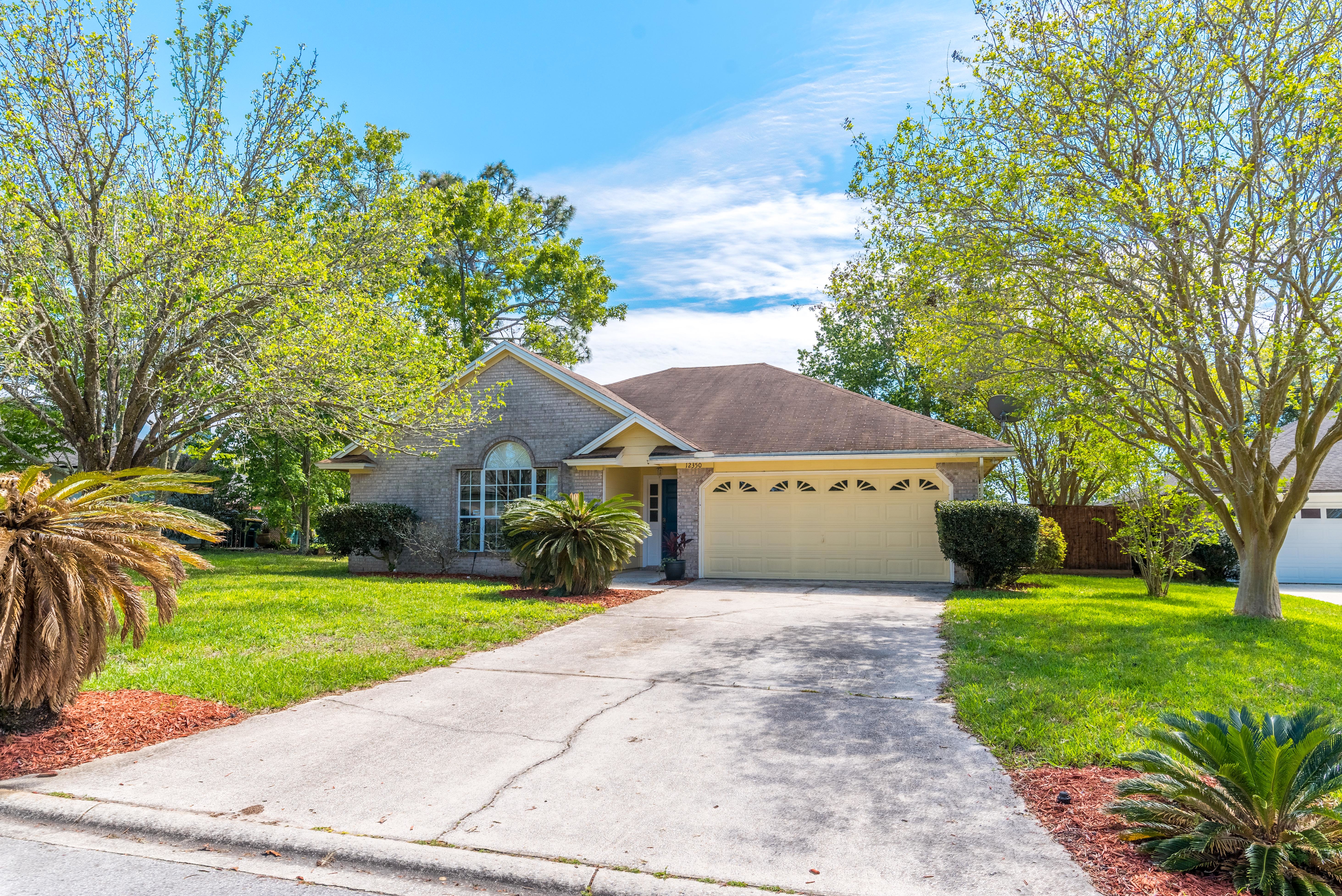 pet friendly homes for rent in belleview fl