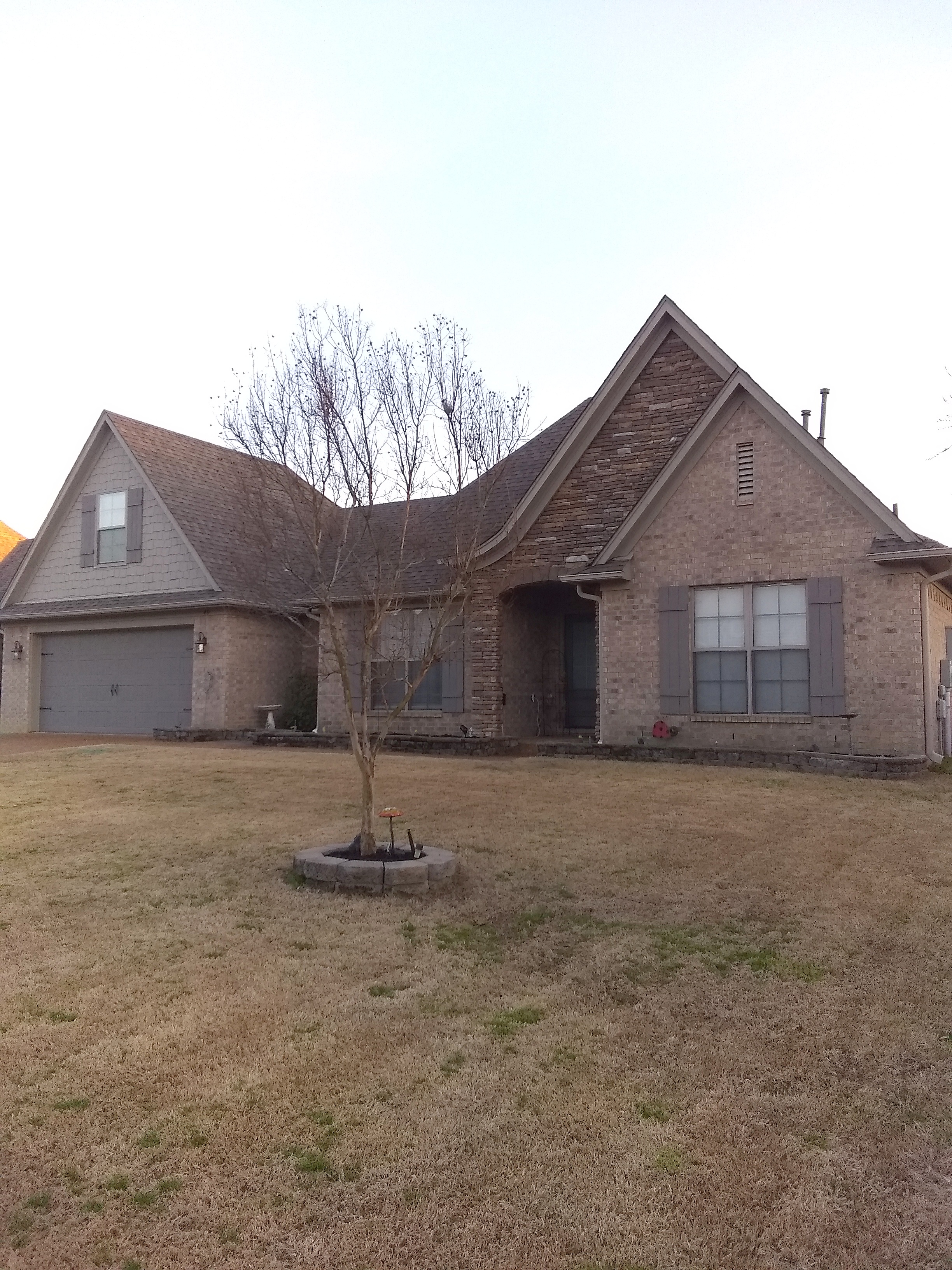 Houses for Rent in Oakland, TN